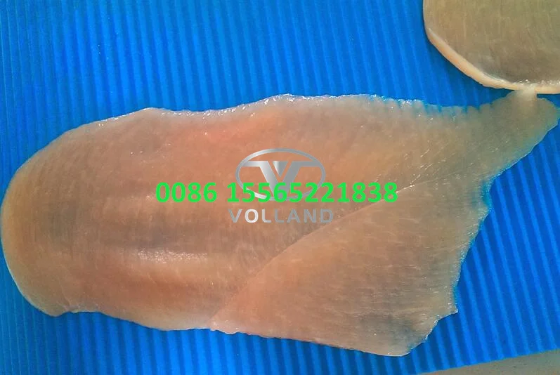 chicken breast slicer7.jpg