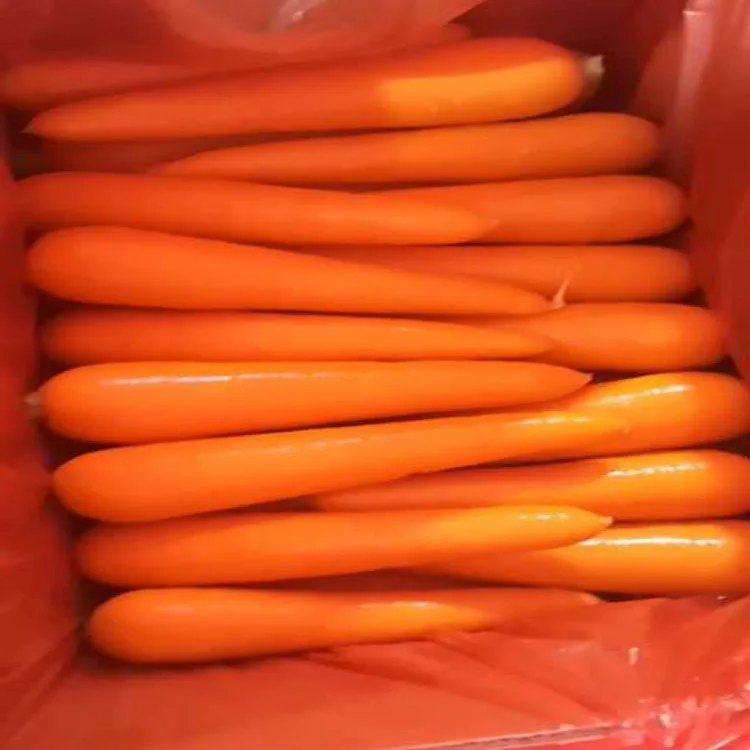 Wholesale price smooth skin fresh red carrot top quality fresh carrot seller china fresh vegetable exporter