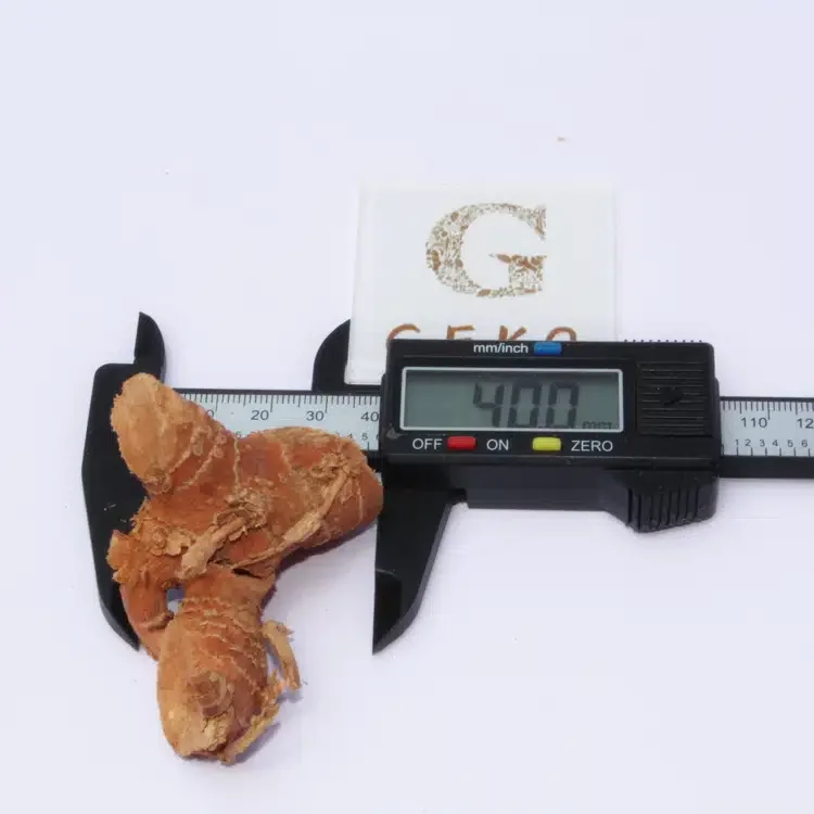 GEKO Food Bulk Wholesales Export Turmeric For Aromatherapy Products Spices