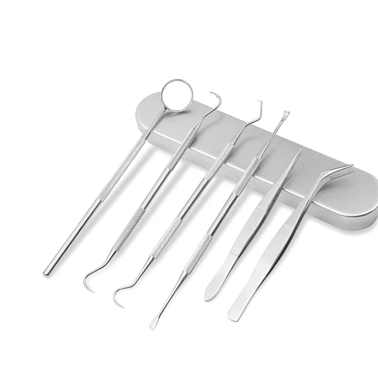 Hot selling custom logo/packing stainless steel oral tools dental hygiene Kit for teeth cleaning