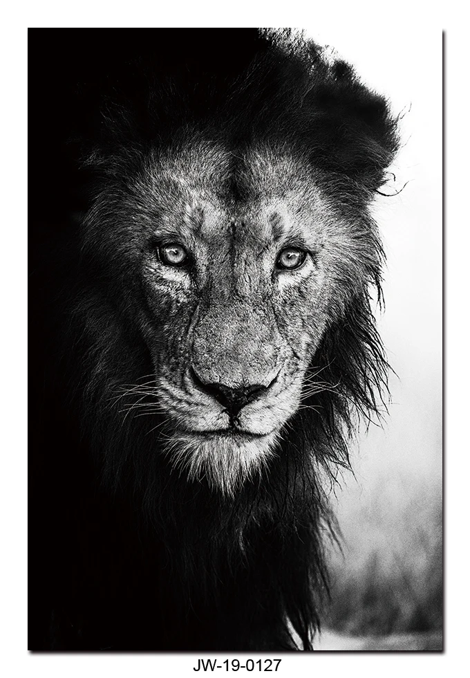 Fierce Lion Decorative Painting - Wall Art for Modern Homes and Offices