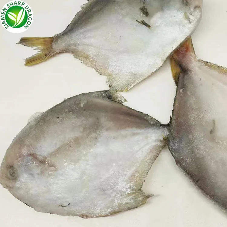 Frozen Fish Chinese Seafoods Fish Pomfret
