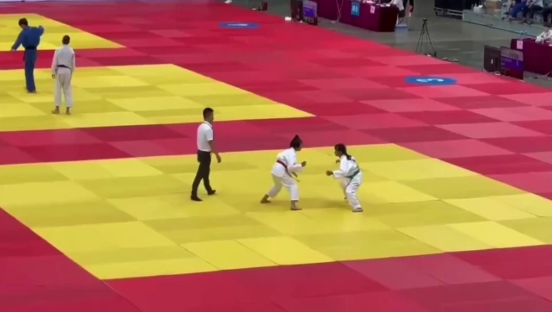 New design professional judo mats tatami non-slip bottom martial arts practice mats for sale