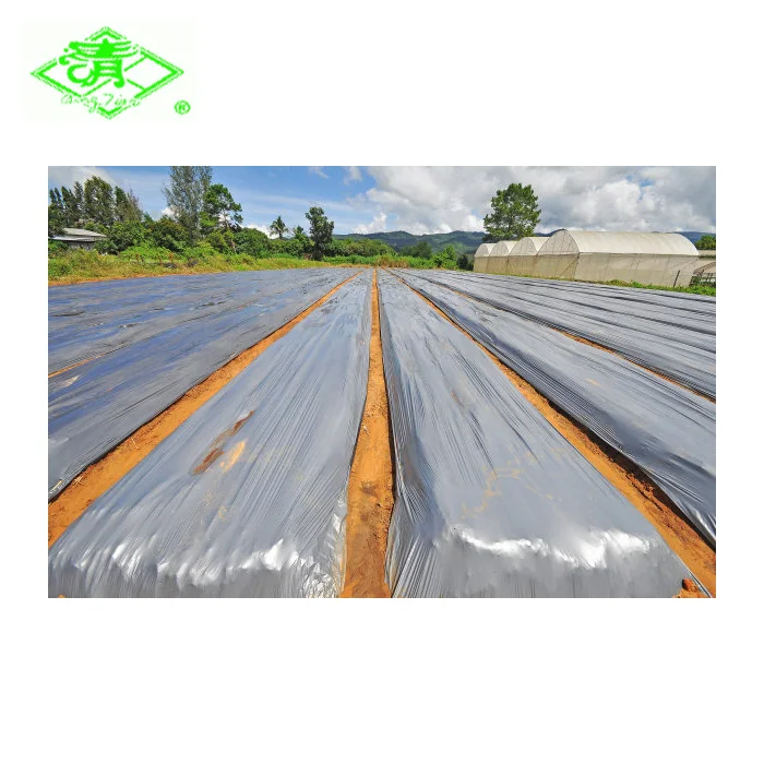 Agricultural Plastic  Control Mulching Film Black Silver Shine Mulch Film For graden greenhouse