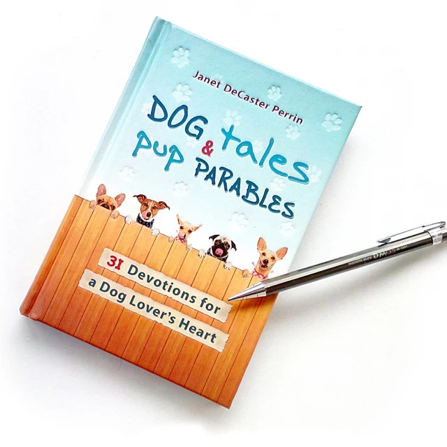 Custom Offset Printing Recycled Children School Educational Photo Book Coloring Story Book