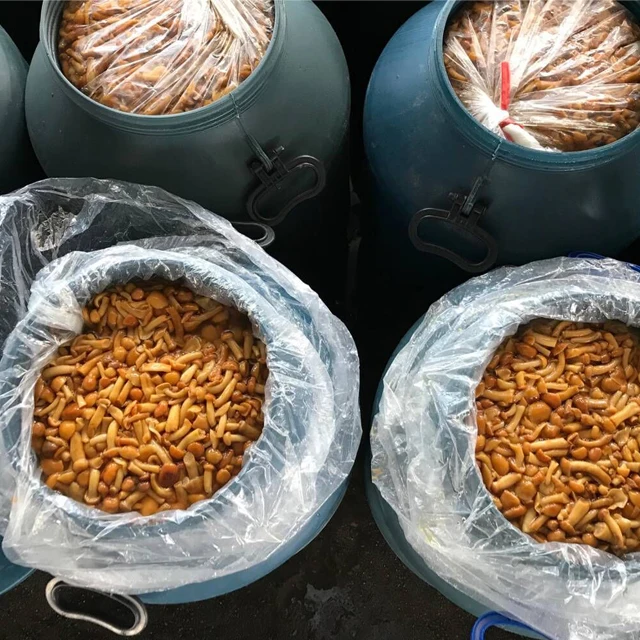  Часто задаваемые вопросы nameko в