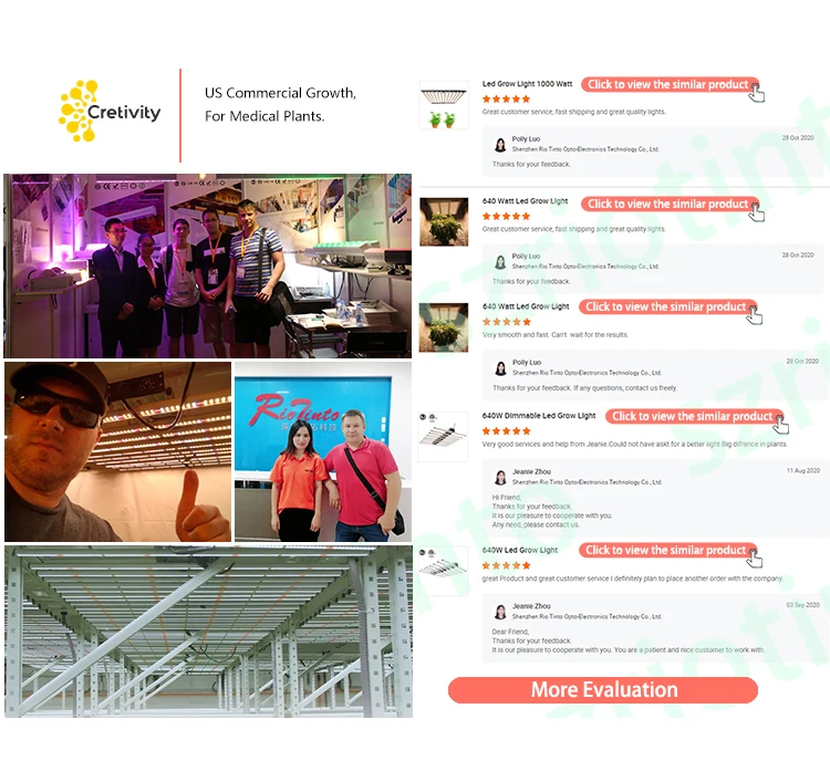 
Horticulture LM301H 3500K Led Strip Builds DIY LM301B Light Plant Growth 1000W Led Grow Light 