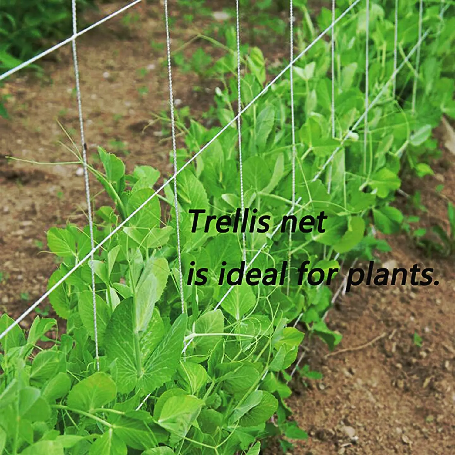 cucumber net trellis growers edge soft mesh trellis netting bulk roll 5 trellis netting 5 feet wide 500 long