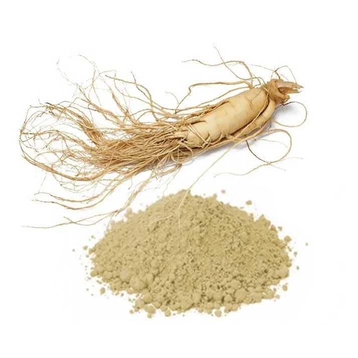 Panax Ginseng root extract Ginseng Extract Korean Red Ginseng Powder