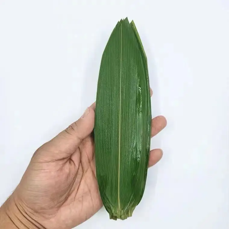 Hand picked Chinese Bulk Hot Selling Organic Fresh Sushi Bamboo Leaves sashimi decoration