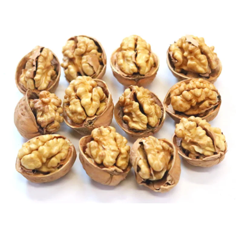 
 Заводская поставка, самая низкая цена, растение, орех в раковине 185, орех  