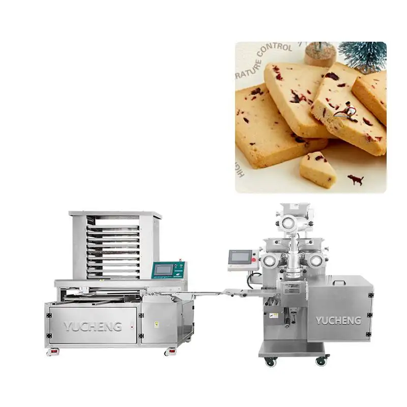 Ice Box Cookies Encrusting Machine Provided 2080 1 Set Fast Food Restaurant Equipment Kibbeh Making Machine for Restaurant 33KW