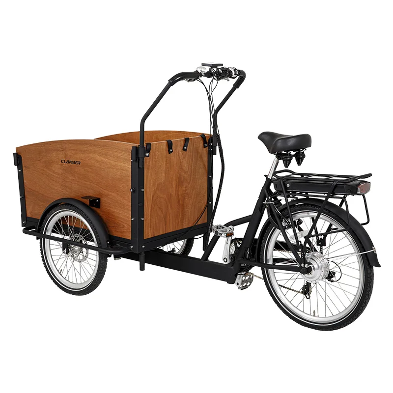 europe best selling euro electric cargo bike with pedal assist family cargo tricycle front 2 wheel rear gear hub 3 wheel bike