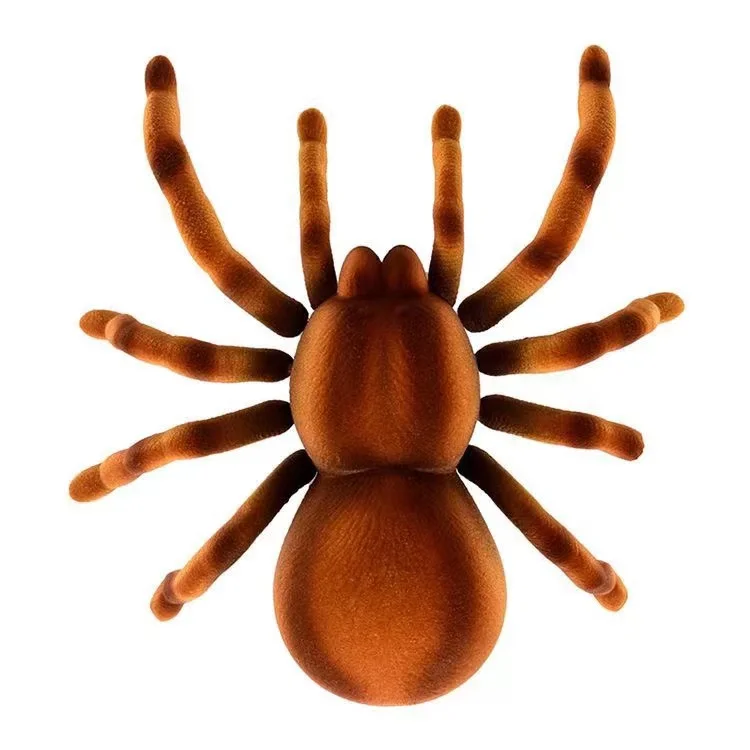 remote spider (13).jpg