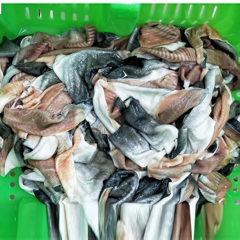 Good Quality Salmon Skin