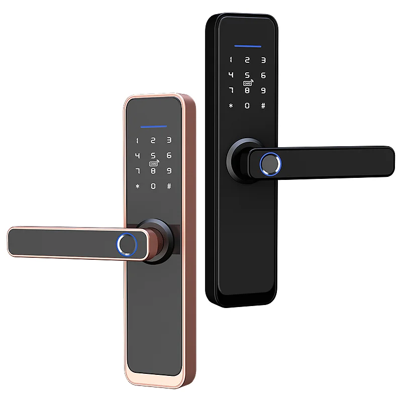 С поддержкой телефона, Wi-Fi, приложение, удаленный доступ, замок без ключа, Распознавание отпечатков пальцев, пароль, карта tuya lock
