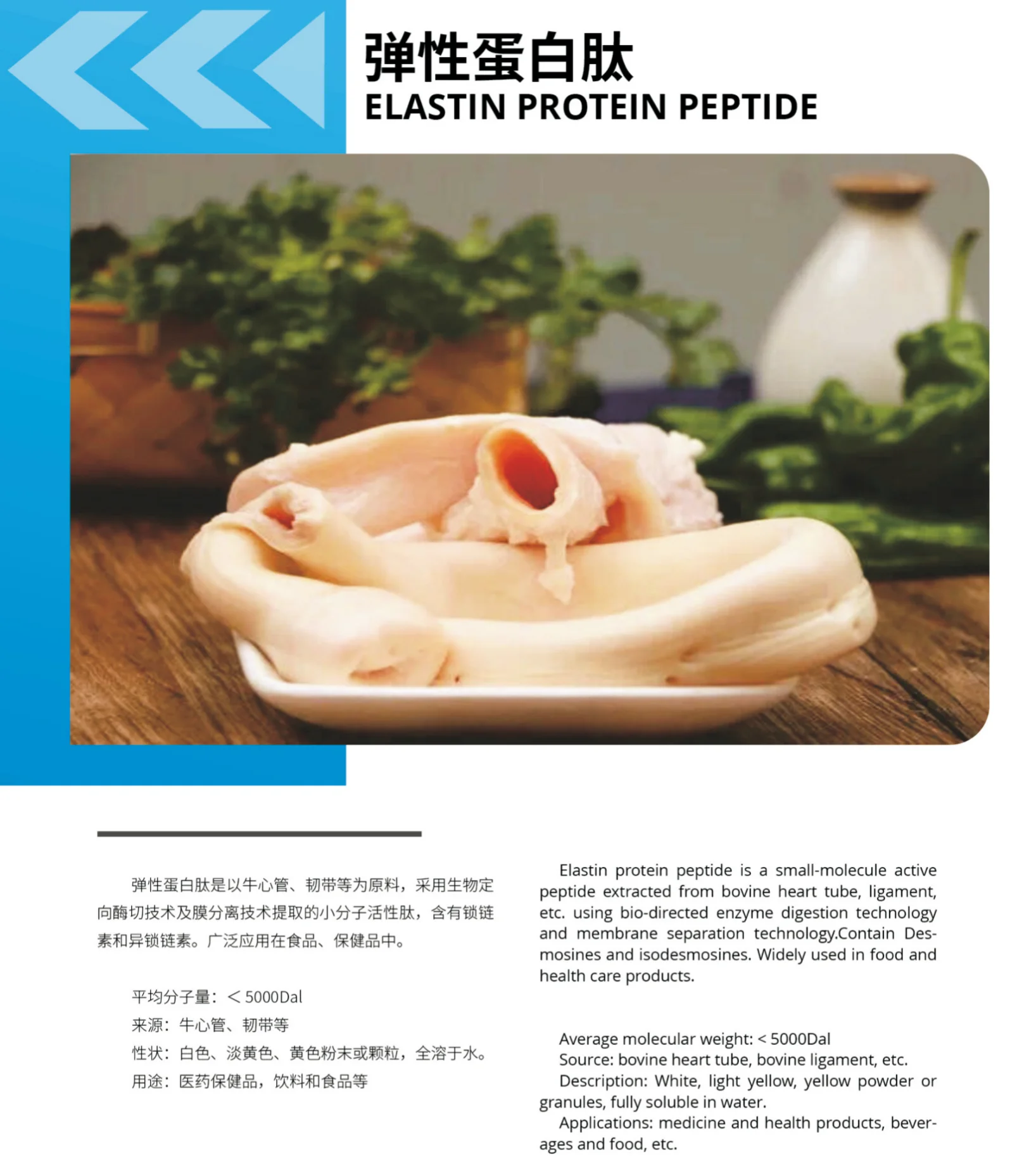 vital proteins collagen peptides High quality food grade alal Elastic Collagen Peptide Powder  Peptide From Beef Heart Tube