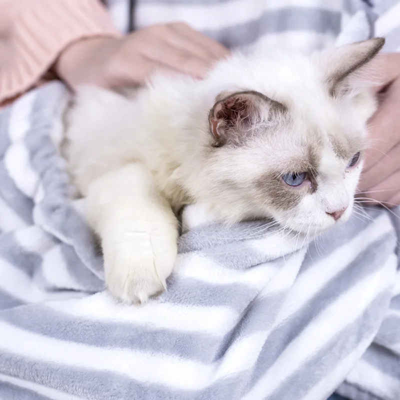 Pet carrier bag Mop cat apron Soft Breathable Anti-stick hairy Coral velvet for Pets