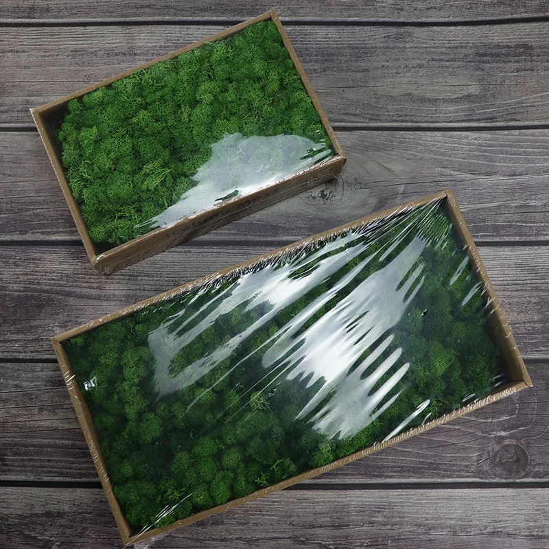
wholesale preserved wall moss letters box lichen stabilized irish moss 