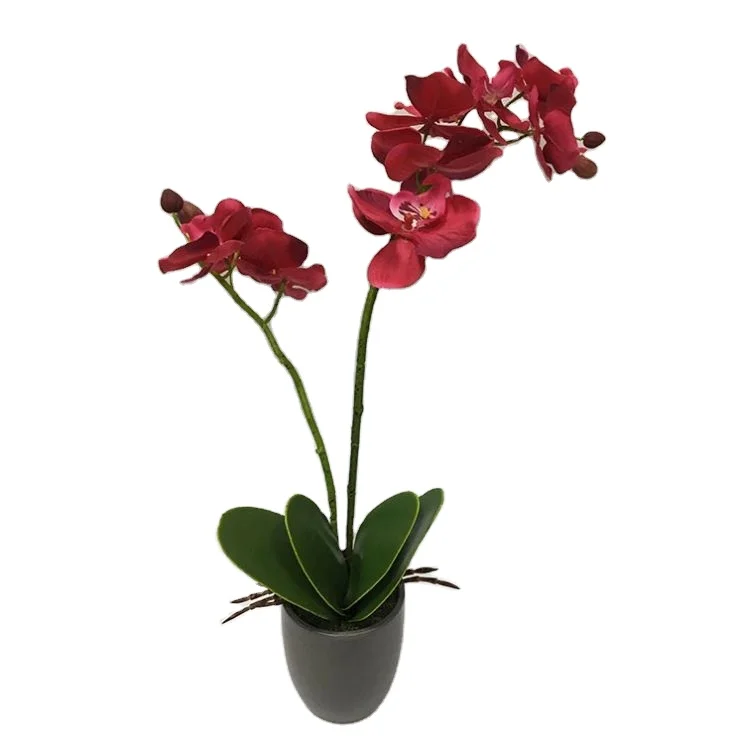 Cheap prices artificial orchid flowers bonsai wedding decorative phalaenopsis butterfly