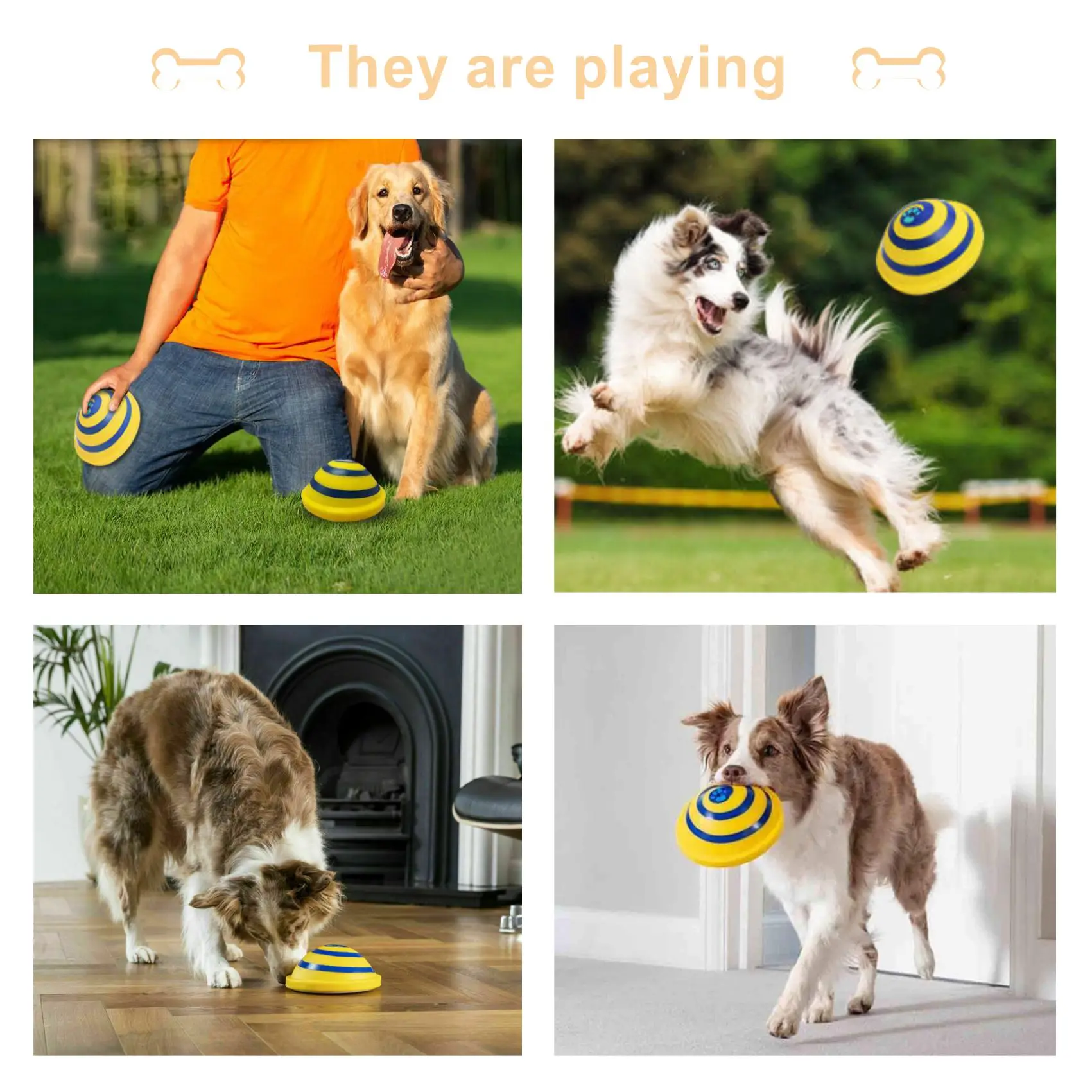 
Hot Sale High Quality Sounding Disc Soft Safe Indoor Toy Pet Dogs Toy Entertainment Pet Play Accessories Toy 
