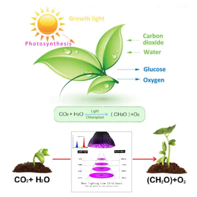 
15W E26 E27 Ceramic CRI 95 Growth Grow Light Led Bulb for Indoor Garden Greenhouse and Hydroponic Plants Full Spectrum 