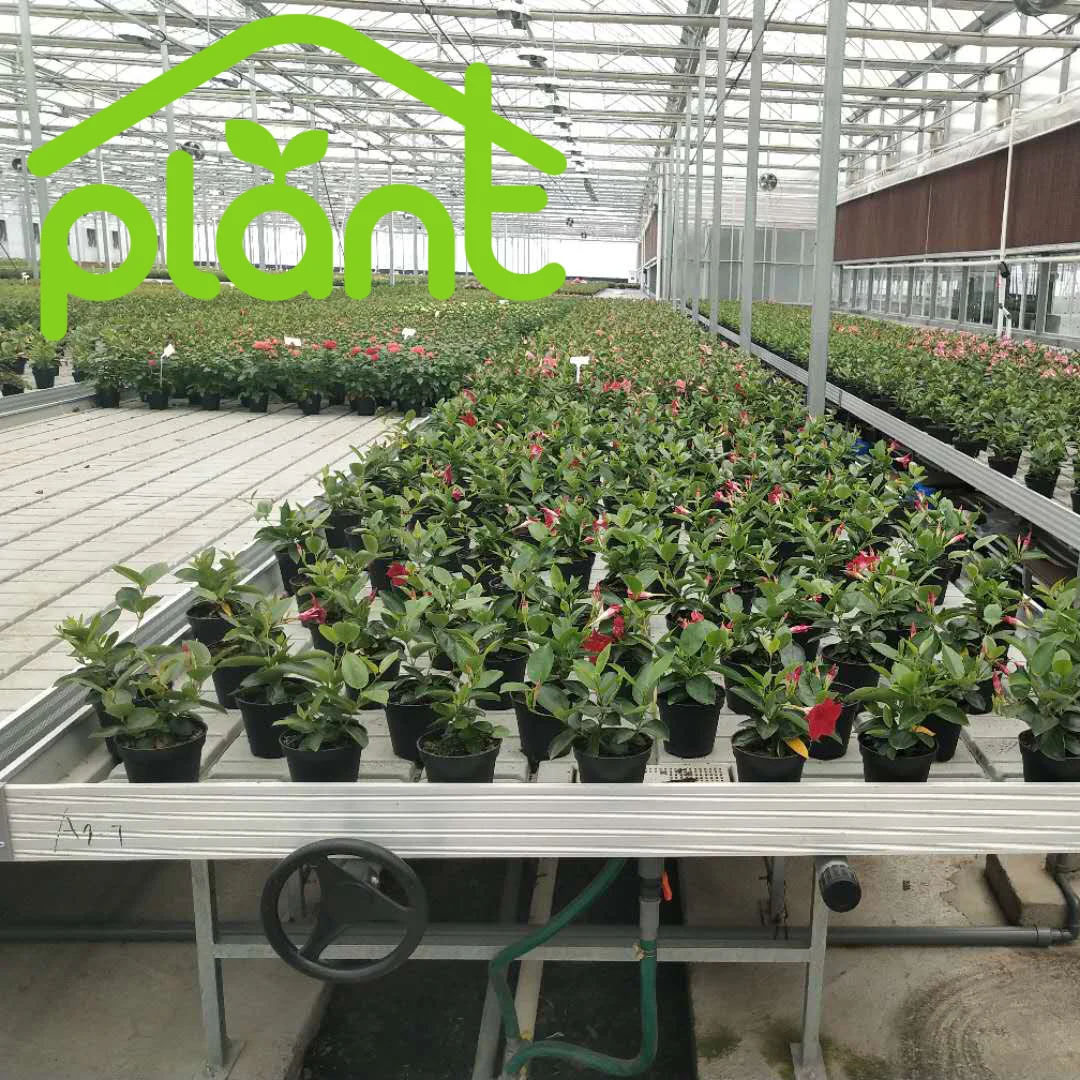 Высокое качество гидропоники штабелируемые и отливы подвижного скамейки Крытый вертикальный расти стеллажи для выставки товаров