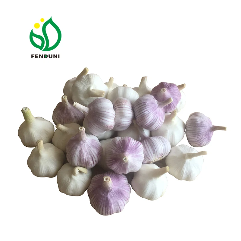 
2019 Chinese New Fresh White Garlic of 20kg mesh bag 