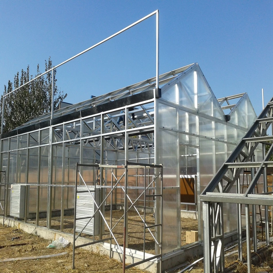 Multi Span Agricultural Solar помидор посевной лист Pc парниковых используется для продажи