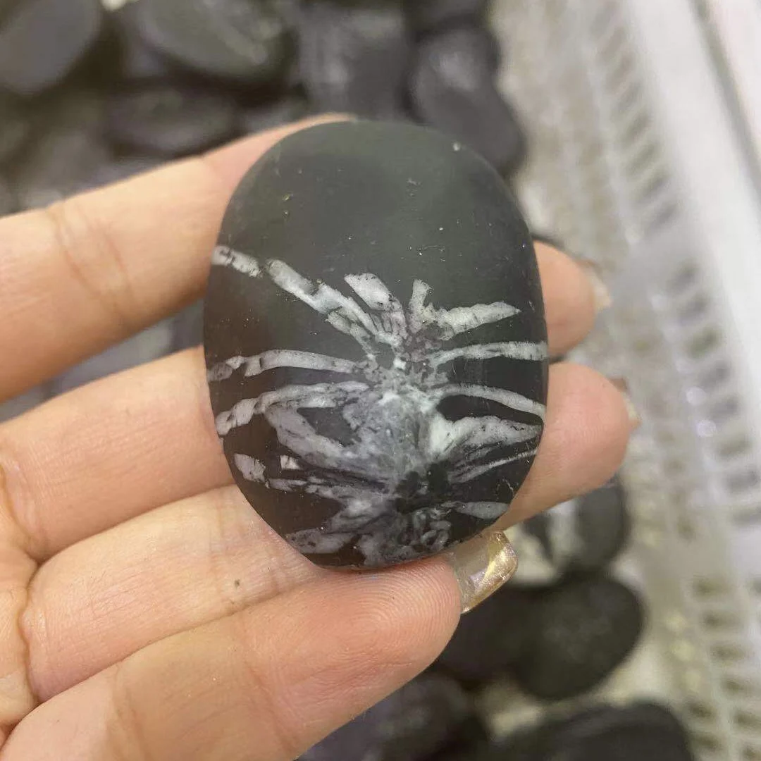 Wholesale Natural Raw Stone Specimen Mineral Rough Chrysanthemum Palm Stone For Decoration