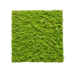 factory artificial moss artificial moss grass wall for decoration artificial moss grass