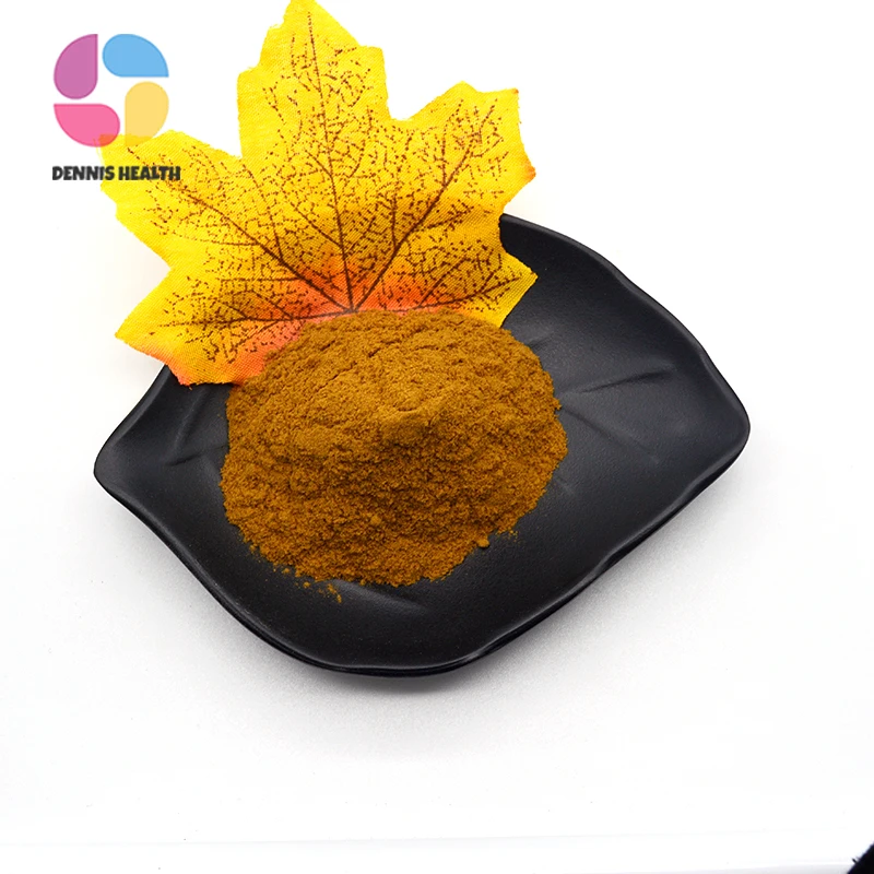 Manufacture Supply Rose Hips Powder Bulk Rosehip Extract Rose Hips Powder