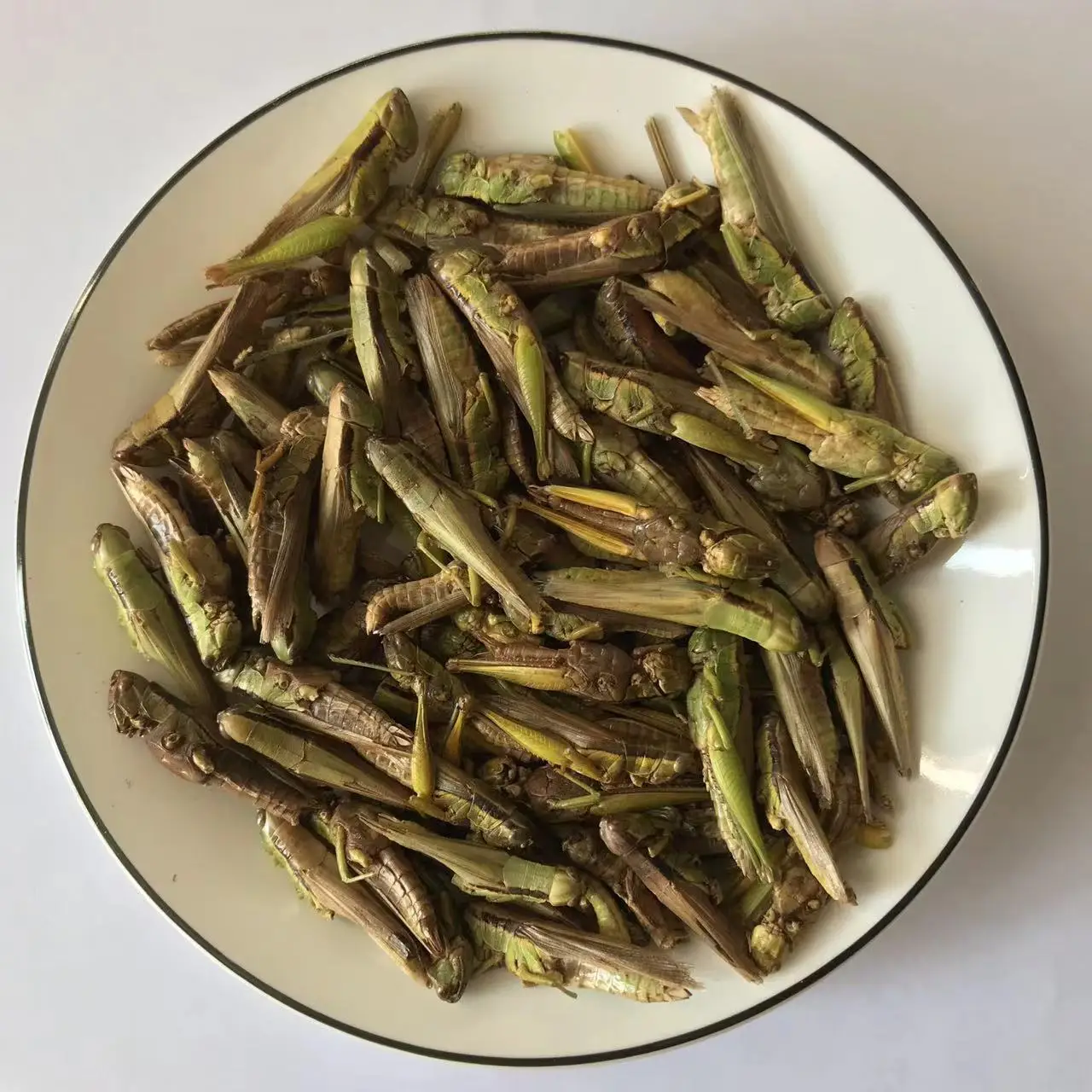 Locust Freeze Dried Grasshopper Edible Bug for Chicken Bird Pet