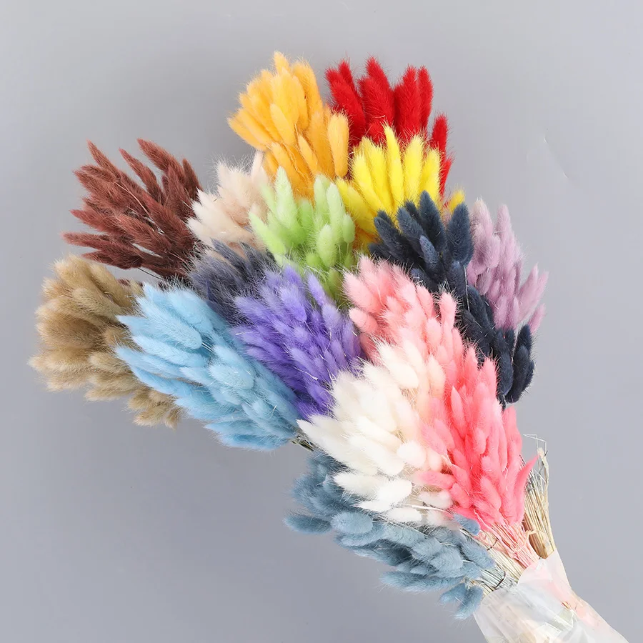 Dried lagurus ovatus bunny rabbit tail grass preserved forever flowers wedding design