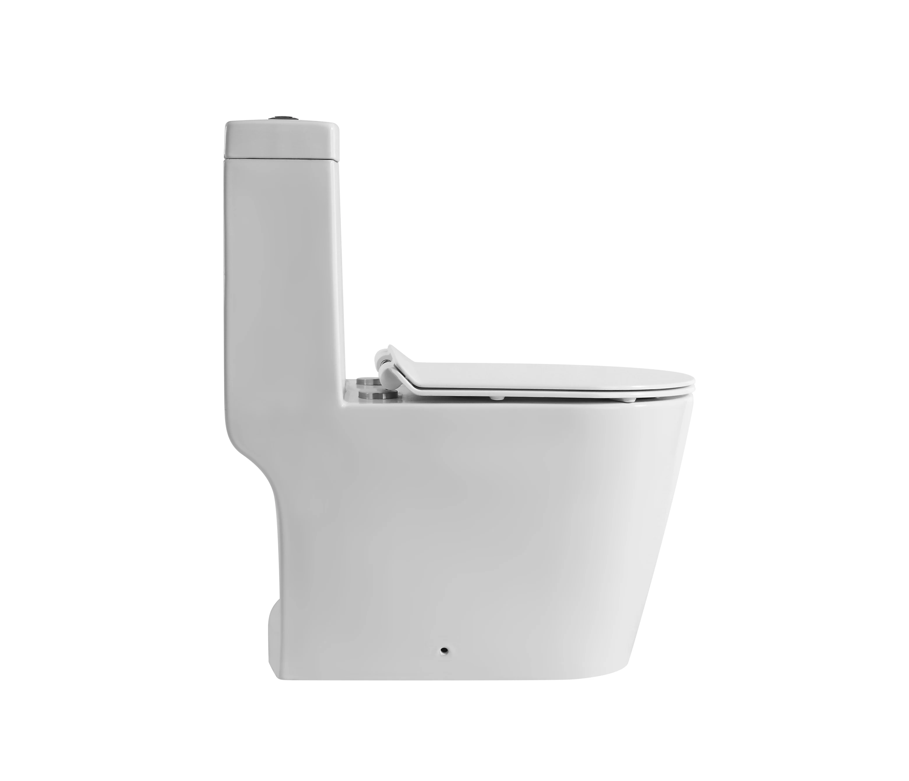 WC-1035 One Piece Toilet with Geberit or R&T Flush Valve Soft Closing Seat Cover Ramp Down Closer  Water Closet Toilet Bowl