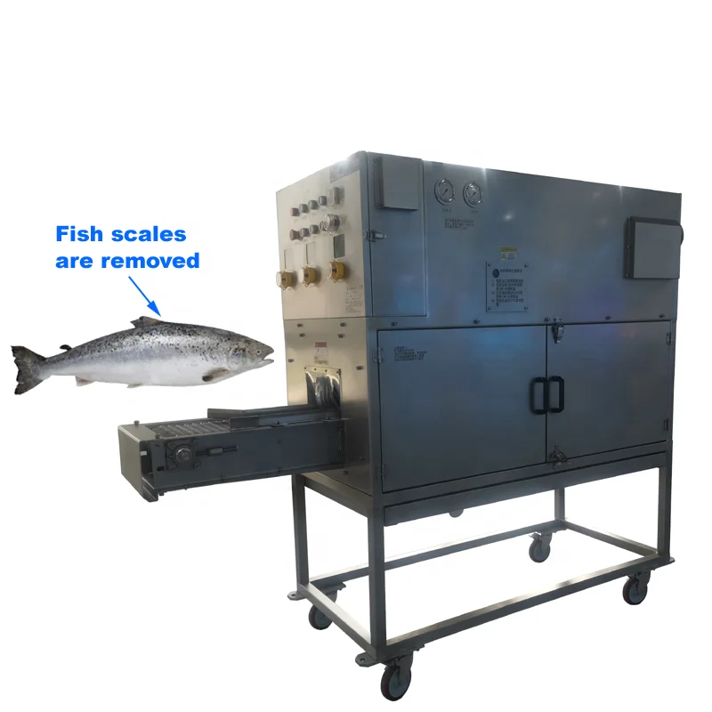 Fish machine CE certificate Stainless Steel Fish Scale Remover for sale