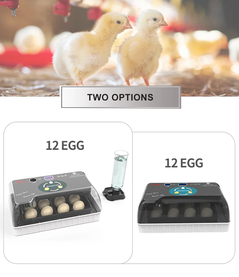 HHD Promotion Transparent Egg Incubator 12 Reptile Egg Incubator Hatching Machine In Germany