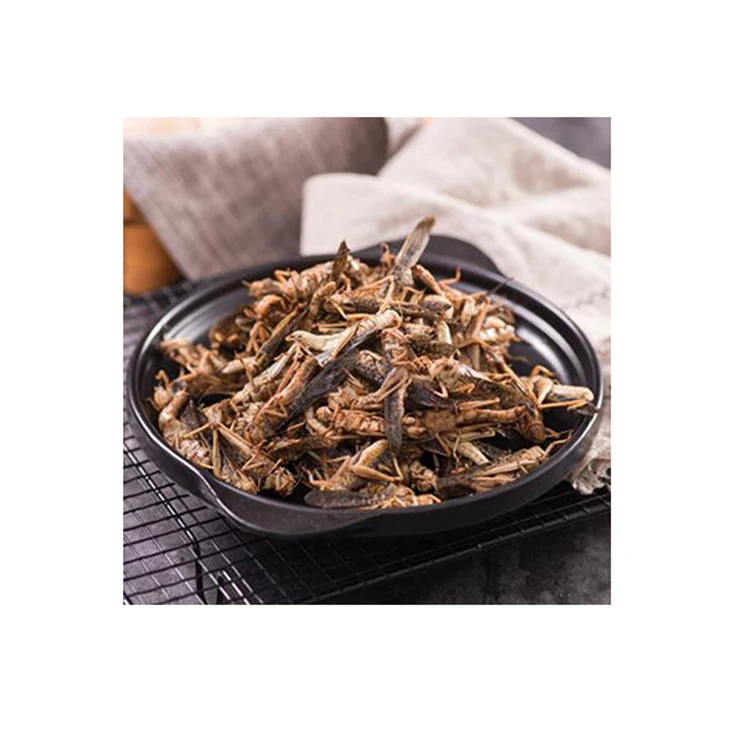Wholesale high protein private label pet food bird dried grasshopper