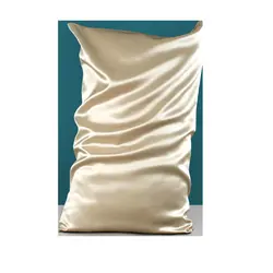 6A Degree Wholesales Custom 100% Mulberrry 16 19 22 25 Momme Standard Silk Pillow Case Queen King Pure Natural Silk Pillowcase