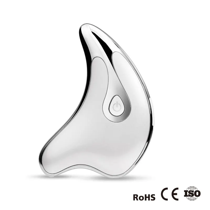 Hot Selling Product Facial Machine 2 In 1 Electric Face Lifting Beauty Equipment