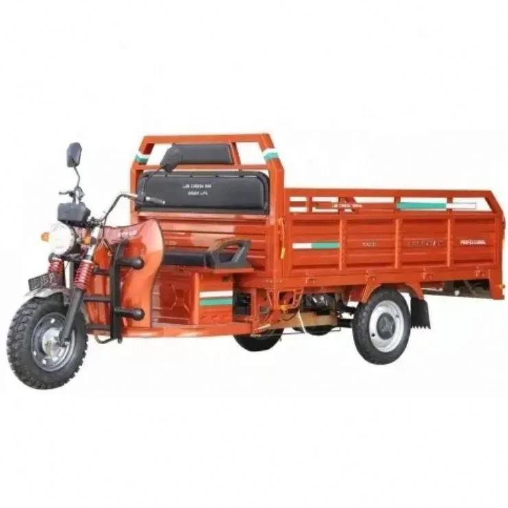 CHENLU Low Speed High Quality 800W Leisure Tricycle Three Wheel Electric Bike With Roof For Passenger Use