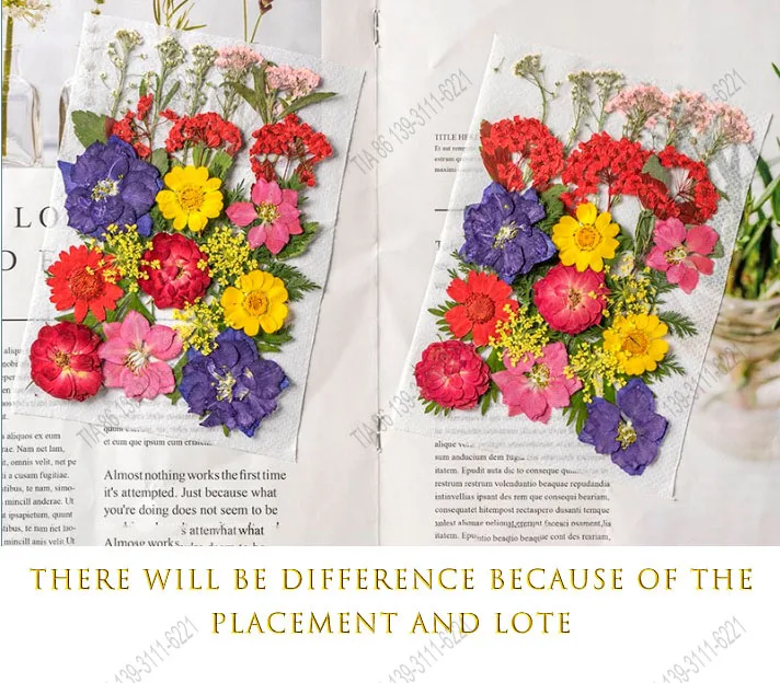 cheap 28pcs Pressed Flowers Dried Flowers for Resin Decor Crafts, Natural Dry Flowers Leaves Bulk Kit for DIY Scrapbook, candles