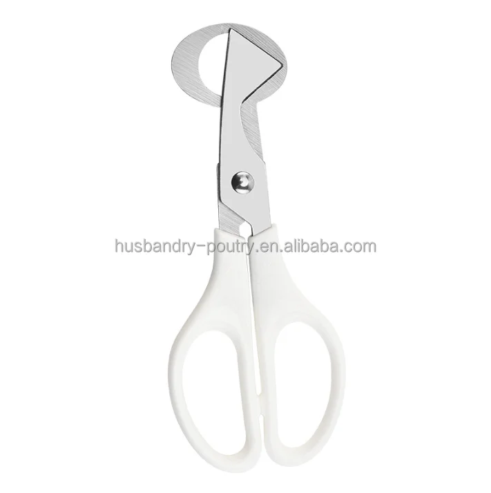 Pigeon Quail Egg scissor Bird Cutter Opener Kitchen Tool Scissors
