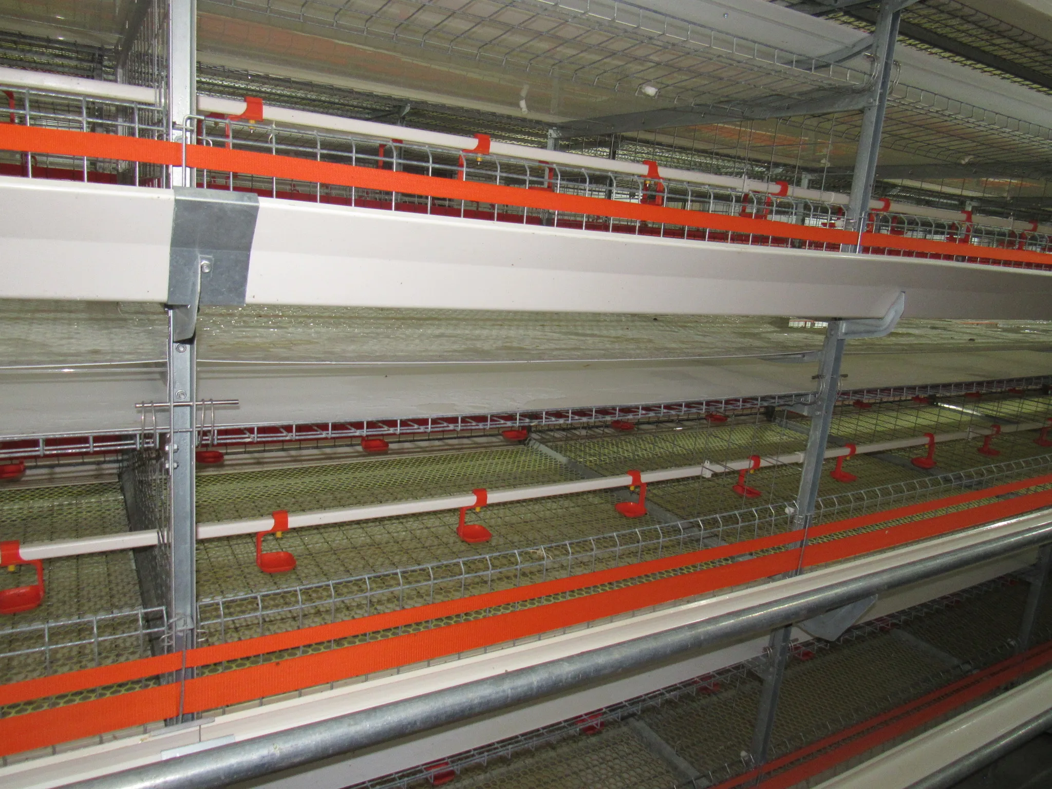 Лидер продаж 2024 сельскохозяйственное оборудование для птицеводства автоматическая клетка кур H-типа
