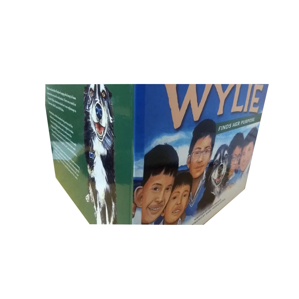 Best Price on Custom Designed Full Color Hard Bound Board Books for Kids Paper and Cardboard for Bulk Purchase