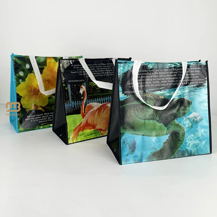 Custom Logo Printed Eco-Friendly Nonwoven PP Laminated Cloth Tote Cosmetic Gift Packaging Handbag Grocery Shopping Carry Bags