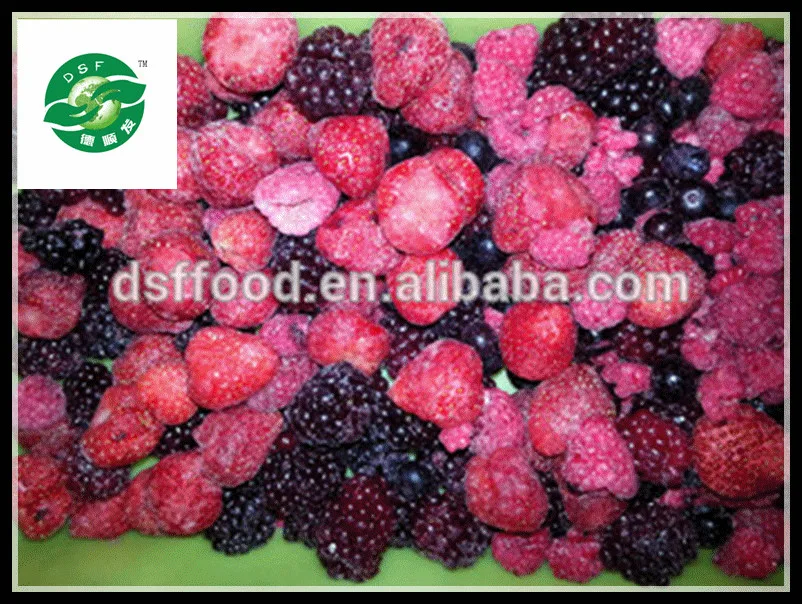 HACCP Chinese frozen vegetables and fruits 24 months shelf life IQF Mixed Berries