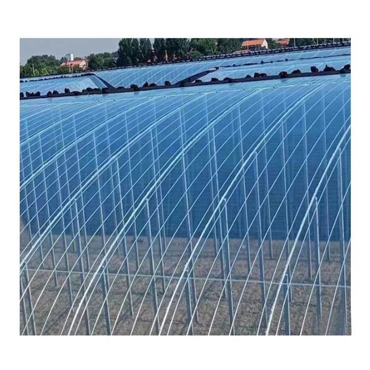 Factory Wholesale High Quality UV Stabilized White Transparent PE Garden Plastic Greenhouse Protective Film