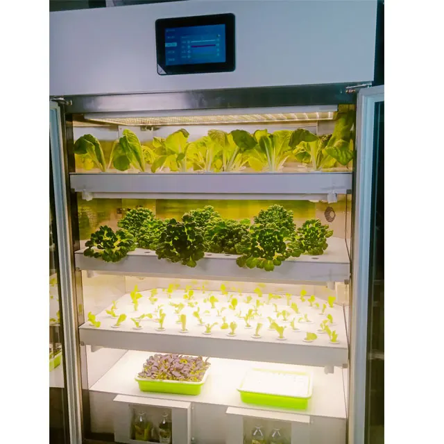 Factory Direct Supply Double Door Indoor Aeroponic Cabinet Growing System width Automatic Nutrient Balance