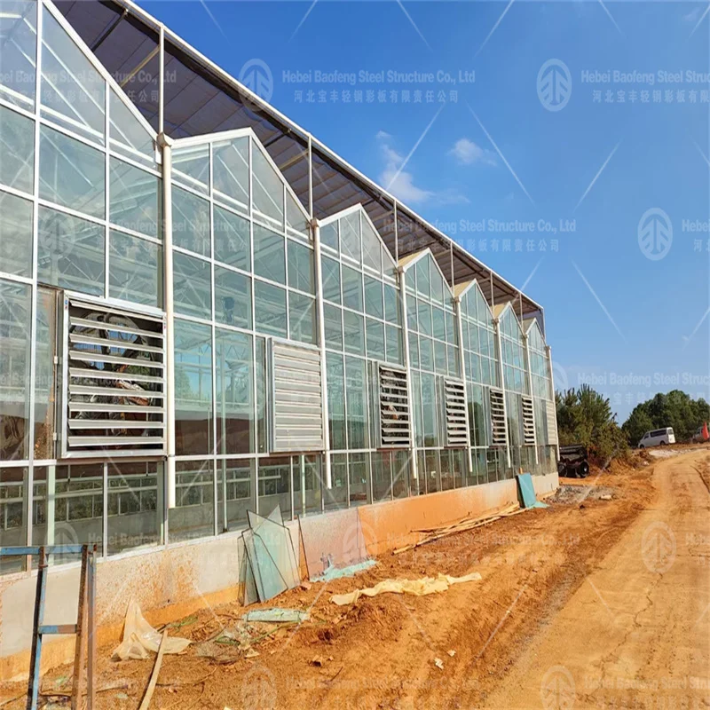 Low-Cost Tunnel Greenhouse for Efficient Crop Production